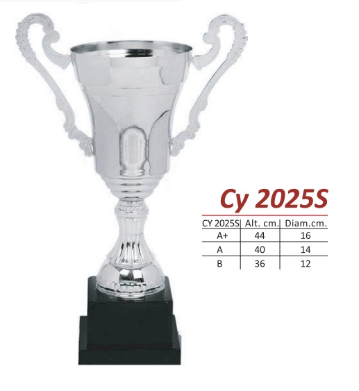 CY 2025S